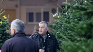 Prodaja božićnih jelki u Zadru Prodaja božićnih jelki u Zadru