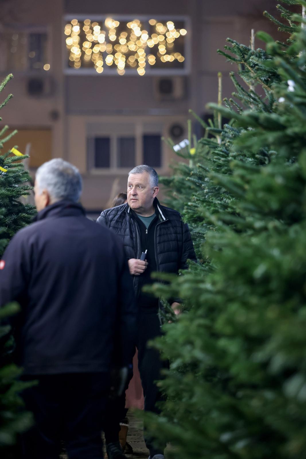 Prodaja božićnih jelki u Zadru Prodaja božićnih jelki u Zadru