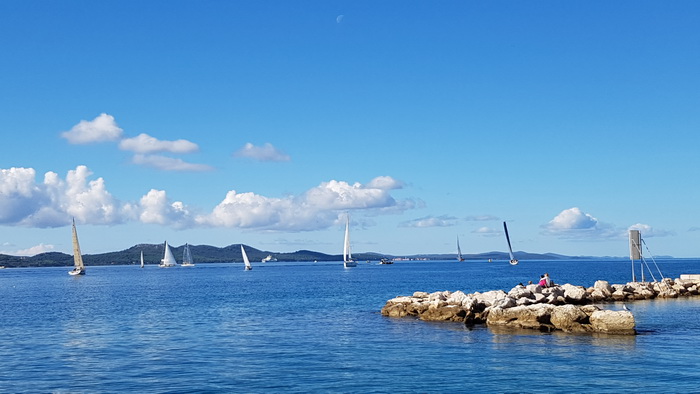 Zadarska Koka 2016. 22. listopada 2016. Foto: Mladen Malik Zadarska Koka 2016. 22. listopada 2016. Foto: Mladen Malik