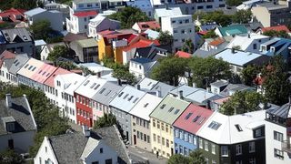 Đir po Reykjaviku, glavnom gradu Islanda