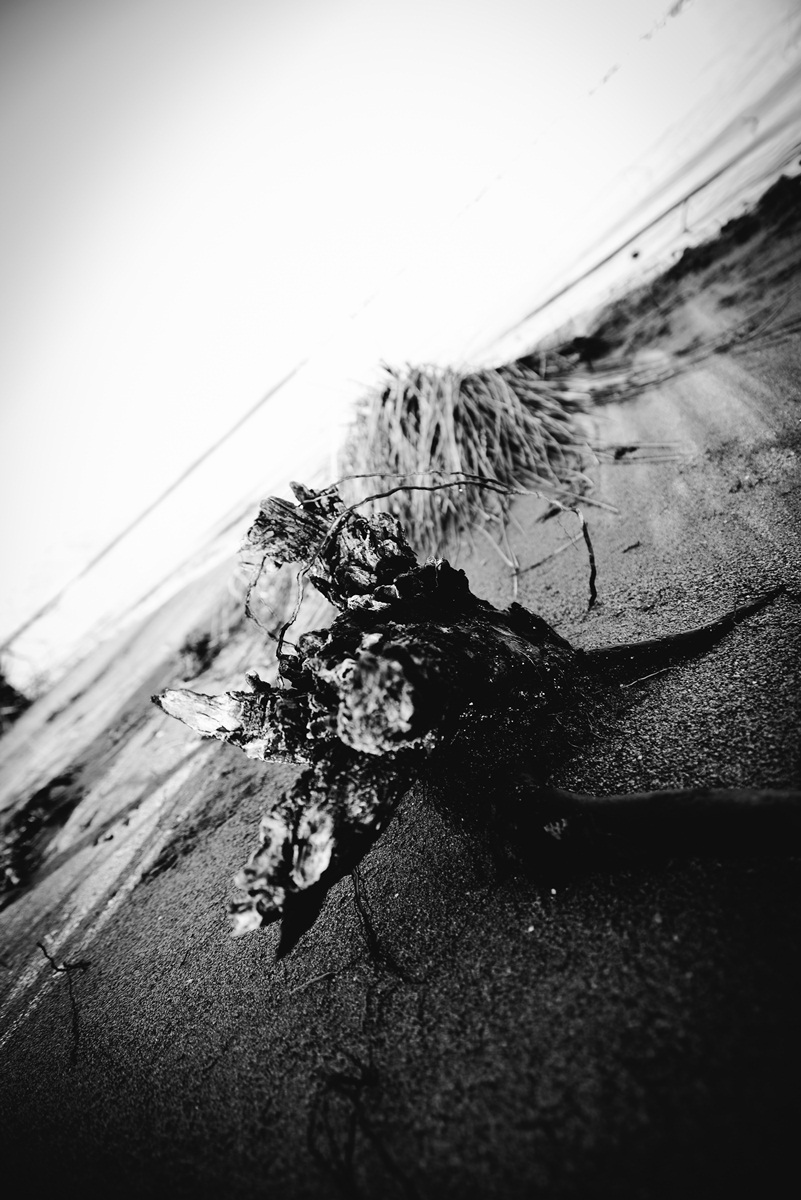 Crno bijela bajka na Kraljičinoj plaži, foto: Iva Perinčić