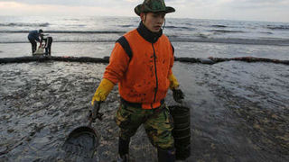 Image 1196789 (auto) Image 1196789 (auto)