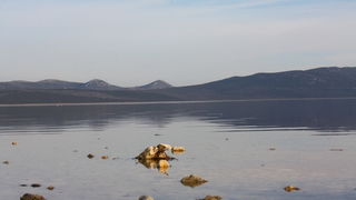 Đir uz Vransko jezero, Foto: Iva Perinić Đir uz Vransko jezero, Foto: Iva Perinić
