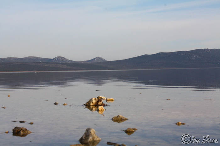 Đir uz Vransko jezero, Foto: Iva Perinić Đir uz Vransko jezero, Foto: Iva Perinić