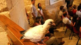 Image 1204729 (auto) Image 1204729 (auto)