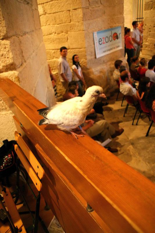 Image 1204729 (auto) Image 1204729 (auto)