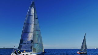 Regata Zadarska Koka 2015. Regata Zadarska Koka 2015.