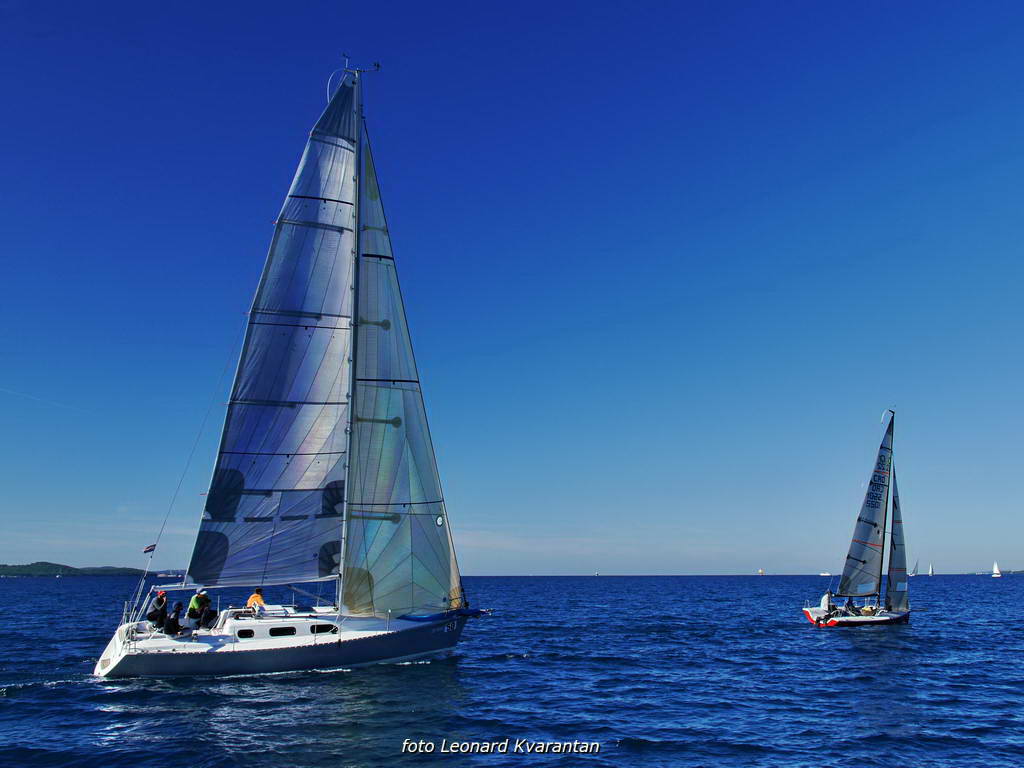 Regata Zadarska Koka 2015. Regata Zadarska Koka 2015.