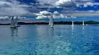 Zadarska regata 2014.  Foto: Leonard Kvarantan