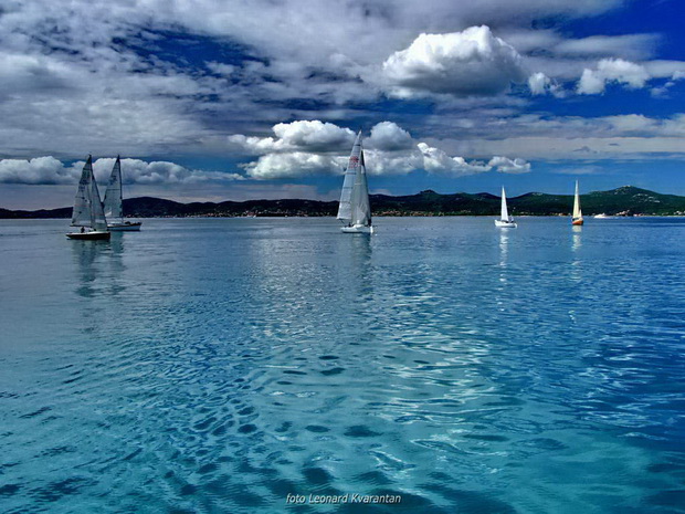 Zadarska regata 2014.  Foto: Leonard Kvarantan