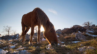 Đir do Libinja 9. travnja 2012. (foto:Saša Čuka) Đir do Libinja 9. travnja 2012. (foto:Saša Čuka)