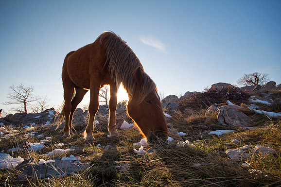 Đir do Libinja 9. travnja 2012. (foto:Saša Čuka) Đir do Libinja 9. travnja 2012. (foto:Saša Čuka)
