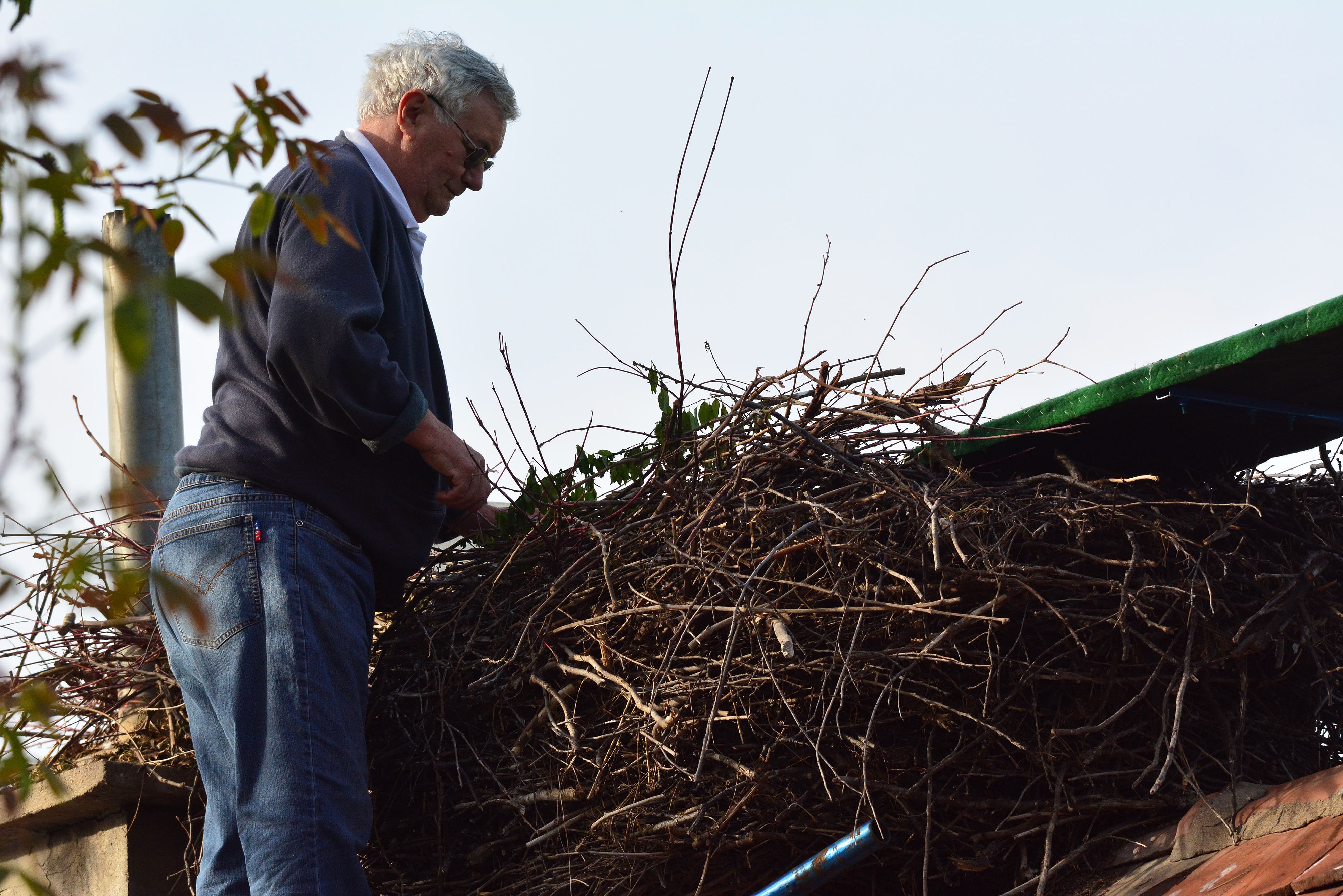 Klepetan se ipak vratio Malenoj Klepetan se ipak vratio Malenoj