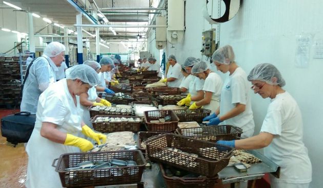 110 godina rada tvornice Mardešić, foto: Radio Zadar