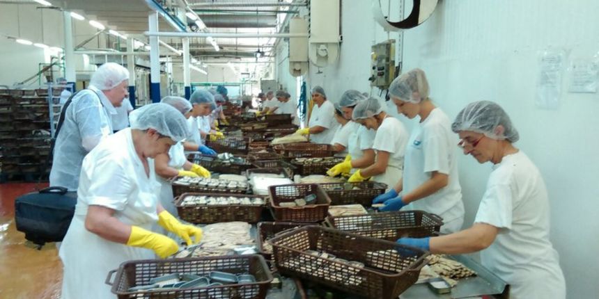 110 godina rada tvornice Mardešić, foto: Radio Zadar