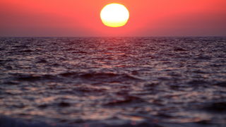 Dugi otok, 260609.
Dugi otok je jedva 1,5 sat udaljen od Zadra, jedan je od skrivenih Jadransih bisera. Sa raznolikom prirodom i plazama, cistim morem, on je namjenjen gostima koji vise cijene prirodu od zabave.
Na slici: zalaz Sunca na Dugom otoku.
Foto: