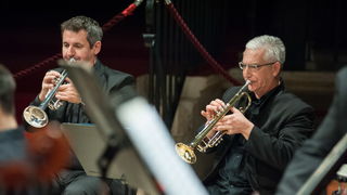 Stefan Milenković i Zadarski komorni orkestar u katedrali sv. Stošije