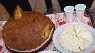 Turopoljsko srce srcu Zadra