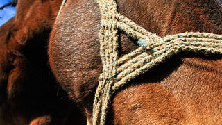 Đir do Zavižana, sjeverni Velebit, foto: Leo Banić