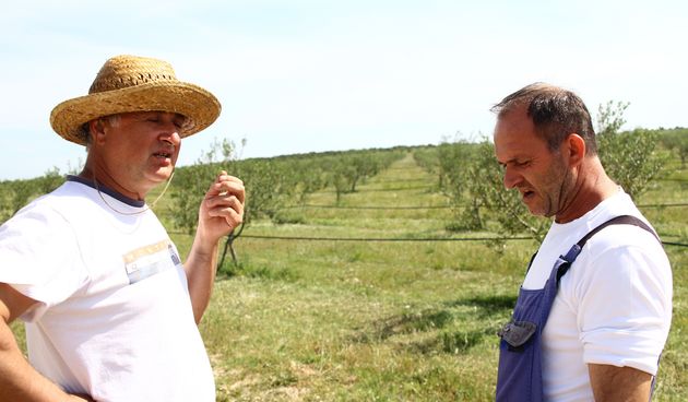 “Dubrava”, polje, poljoprivreda