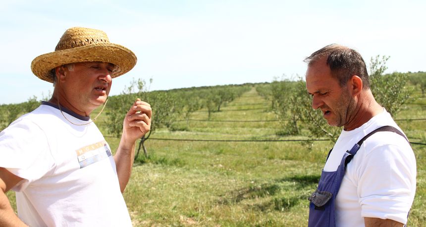 “Dubrava”, polje, poljoprivreda “Dubrava”, polje, poljoprivreda