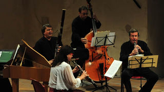 Glazbene večeri u sv. Donatu, praški barokni ansambl, foto: Nenad Marčev