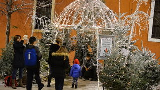 Advent u Zadru: Pavel raspjevao i rasplesao Zadrane na Trgu Petra Zoranića. Foto: Iva Perinčić Advent u Zadru: Pavel raspjevao i rasplesao Zadrane na Trgu Petra Zoranića. Foto: Iva Perinčić