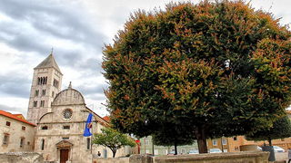 Nedjeljni đir po gradu 3. sttudenog 2013.  foto: Iva Perinčić, zima, jesen, forum, gradzadar