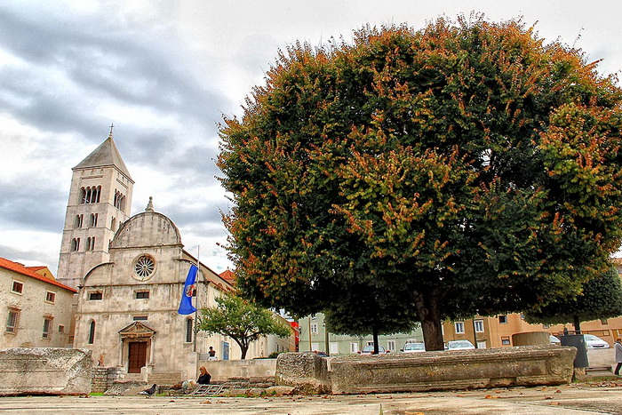 Nedjeljni đir po gradu 3. sttudenog 2013.  foto: Iva Perinčić, zima, jesen, forum, gradzadar