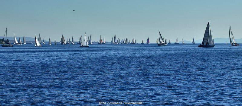 “Zadarska koka”: Regata za sve generacije snimljena iz “koke” “Zadarska koka”: Regata za sve generacije snimljena iz “koke”