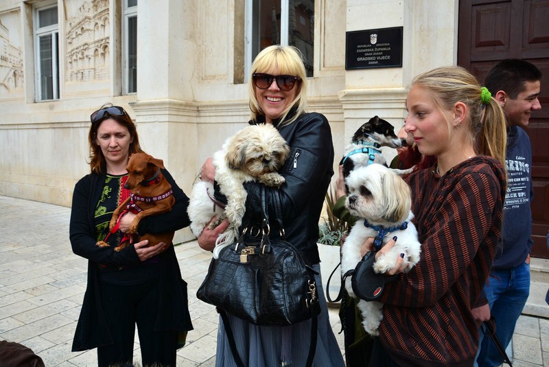 Skup podrške za NO KILL skloništa za životinje,  foto Iva Perinčić