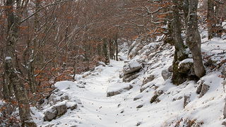 Đir do vrha Zečjak na sjevernom Velebitu, Foto: Leo Banić
