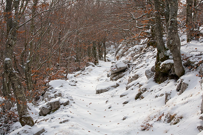 Đir do vrha Zečjak na sjevernom Velebitu, Foto: Leo Banić