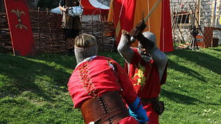 Zvonimirovi dani, Knin 28. i 29. lipnja 2008.