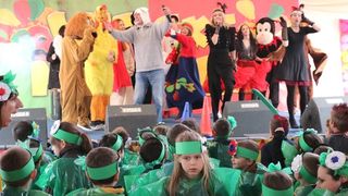 Virski Karnevalić 2017.