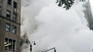 Image 1176085 (auto)