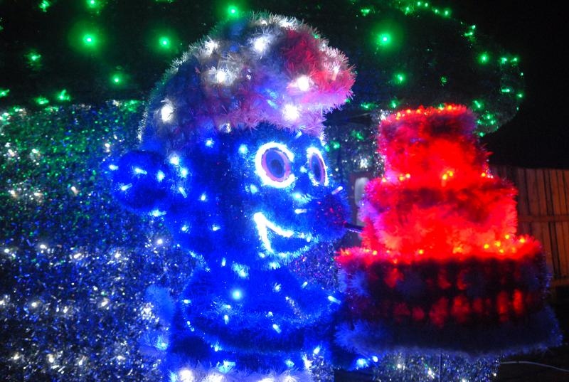 Božićna priča obitelji Salaj u Grabovnici, Photo: Damir Špehar/PIXSEL