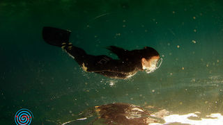 Podmorski foto session na Puntamici, Foto: Marjan Radović Podmorski foto session na Puntamici, Foto: Marjan Radović