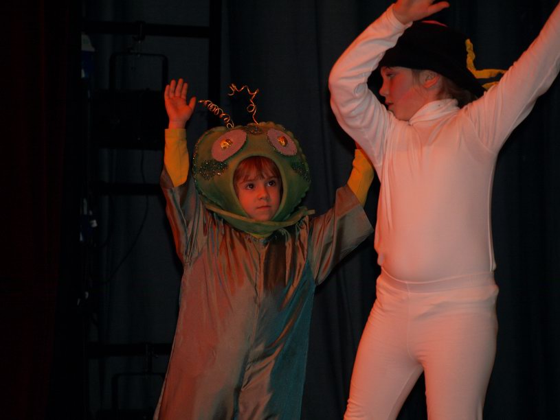 Plesno kazalisna udruga Zalet