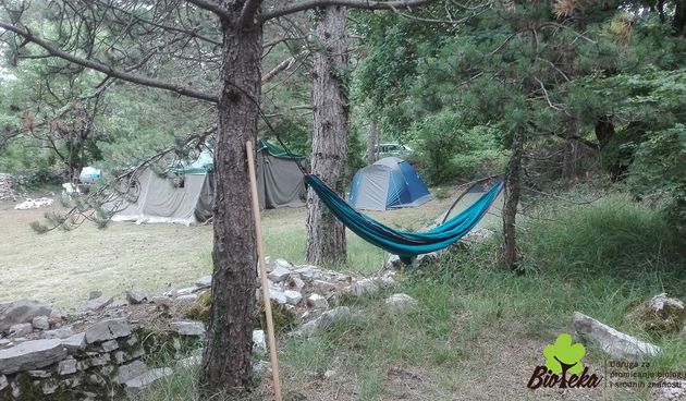 Odlična prilika za bijeg u prirodu – Volonterski kamp na Učki!