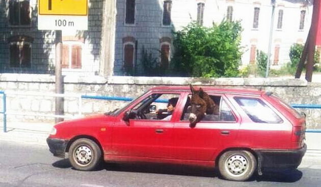Na zadnjem sjedištu tvoga auta…