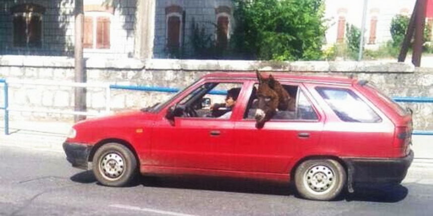 Na zadnjem sjedištu tvoga auta… Na zadnjem sjedištu tvoga auta…