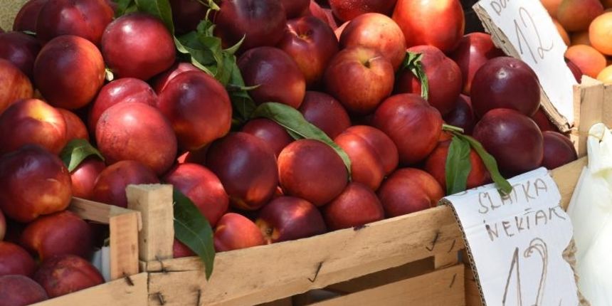 Cijene na gradskoj trznici. Kilogram limuna 20 kn. Photo: Dino Stanin/PIXSELL