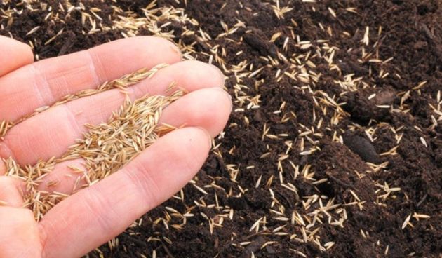 Sjemenje, foto: www.poslovni.hr