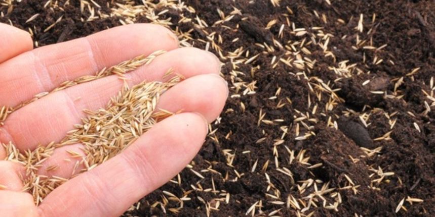 Sjemenje, foto: www.poslovni.hr Sjemenje, foto: www.poslovni.hr