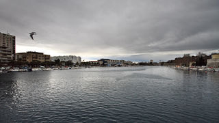 Ribarice u zadarskoj luci, Foto: Leo Banić