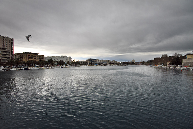 Ribarice u zadarskoj luci, Foto: Leo Banić