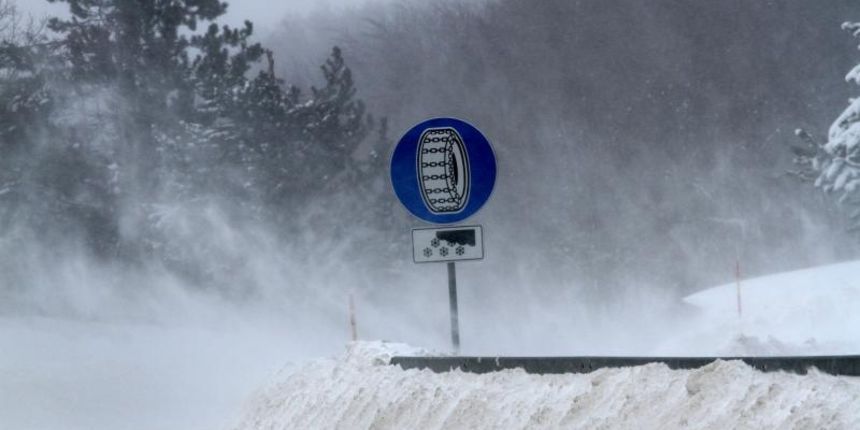 Image 378523 (auto) Image 378523 (auto)