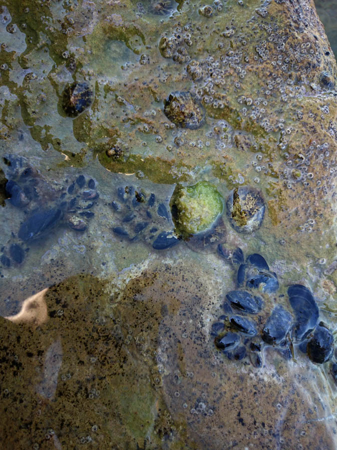 Jutarnji đir Puta Bajlom, foto: Iva Perinčić