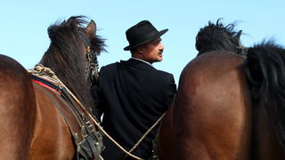 Jankolovica, Biograd, 150912. 
U Jankolovici kraj Biograda odrzan je drugi dan 59. Svjetskog prvenstva u oranju. Ovo natjecanje u oranju odrzava se od 1953. godine, a Hrvatska se ukljucila 2005. godine.
Na fotografiji: detalj s manifestacije. 
Foto: Jure
